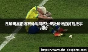 2026 WBC：日本队名单中的“大势（Taisei）”表示，要在国际赛场证明日职终结者的价值